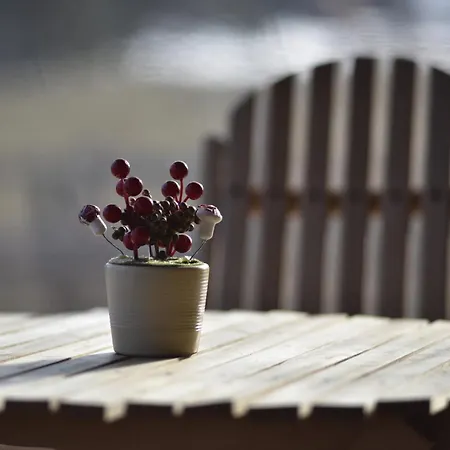 בית נופש Vikendica Rile Sekulic